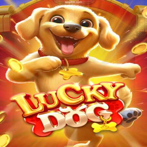 Discover the Excitement of LuckyDog: A Premier Gaming Experience