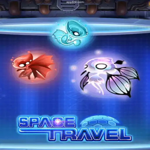 Exploring the Universe of SpaceTravel